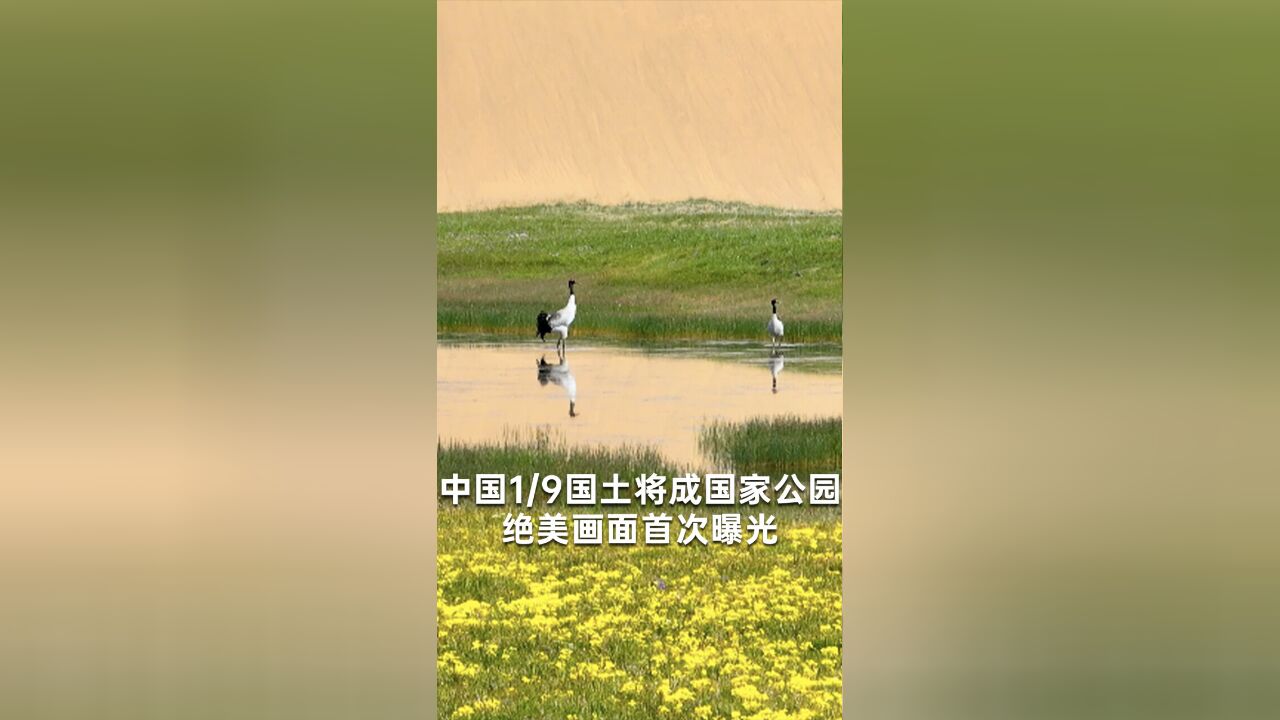 中国1/9国土将成国家公园,绝美画面首次曝光