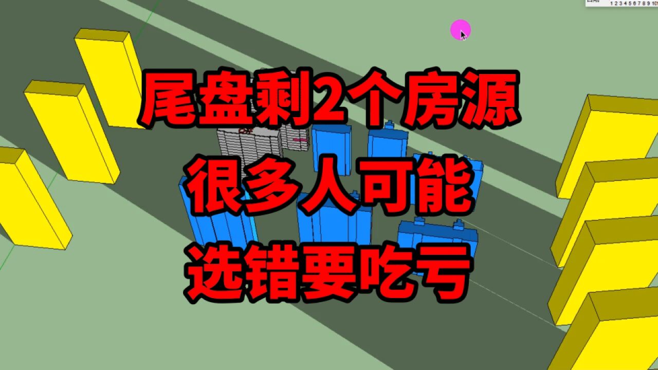 尾盘剩2个房源,很多人易犯糊涂,选错吃亏!建筑设计师专业分析