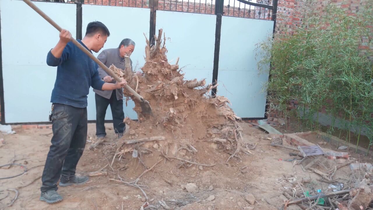 阿木爷爷的小院从建设到初具雏形,接下来会建设得越来越好