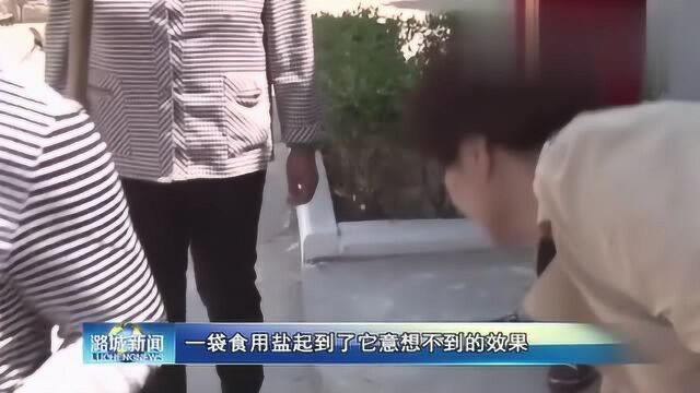 潞城王家庄村书记上电视啦,都说了什么?