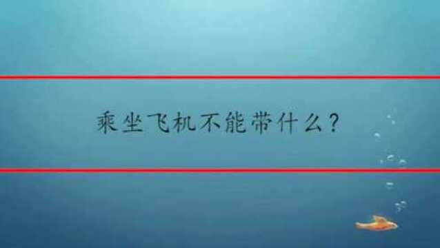 乘坐飞机不能带什么?