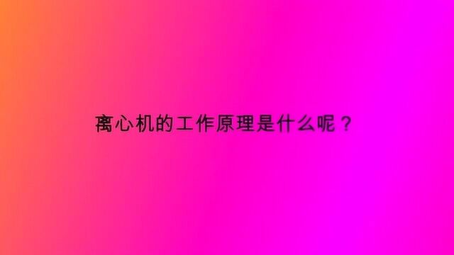 离心机的工作原理是什么呢?