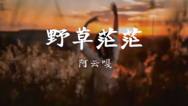 阿云嘎演唱电视剧《激荡》片尾曲《野草茫茫》歌词版MV