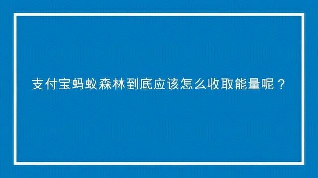 支付宝蚂蚁森林到底应该怎么收取能量呢?