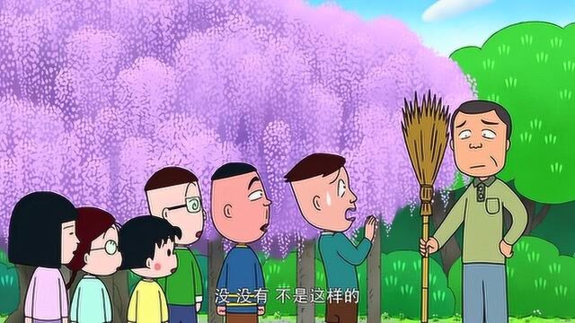 樱桃小丸子:紫藤罗花太美了,小丸子看呆,藤木幻想花海表白