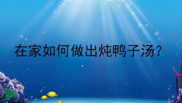 在家如何做出炖鸭子汤?