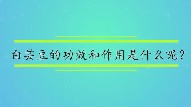 白芸豆的功效和作用是什么呢?