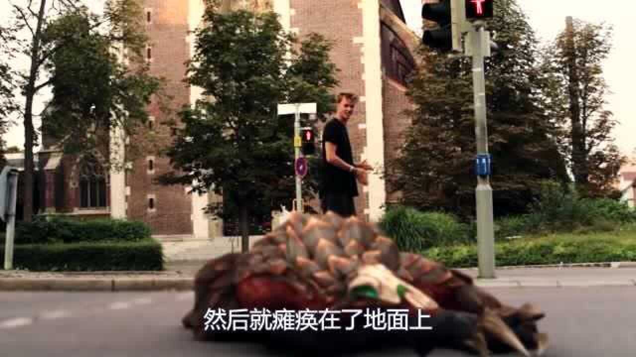 神庙逃亡真人版这特效和boss智商太好看了这效果100分