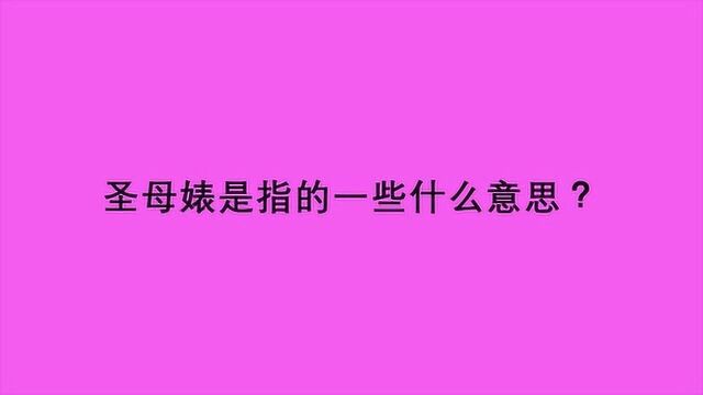 圣母婊是指的一些什么意思?