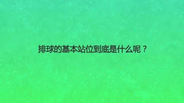 排球的基本站位到底是什么呢?