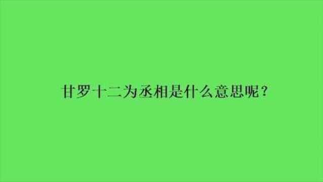 甘罗十二为丞相是什么意思呢?