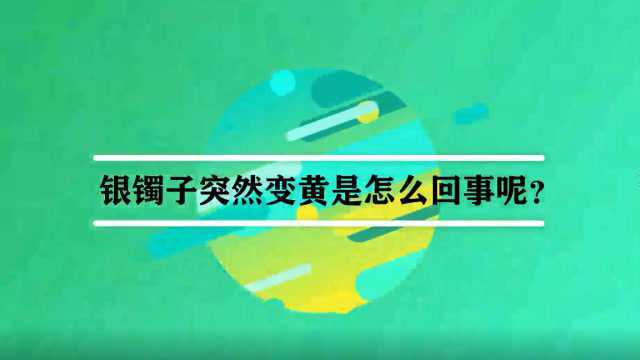 银镯子突然变黄是怎么回事呢?