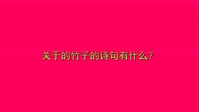 关于的竹子的诗句有什么?