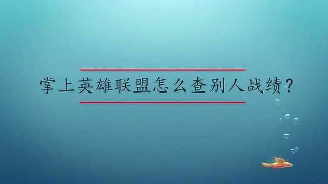 掌上英雄联盟怎么查别人战绩?