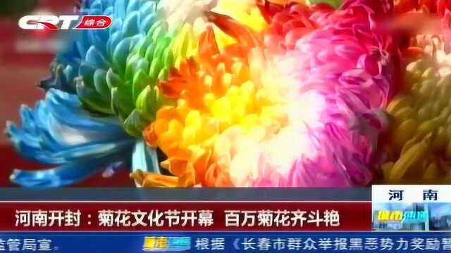 河南开封举办菊花文化节,310万盆菊花争相开放,吸引众多游客观赏