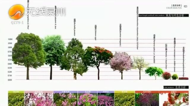 晋江:绿化工程建设理念是以生态型、节约型绿带为指导思想