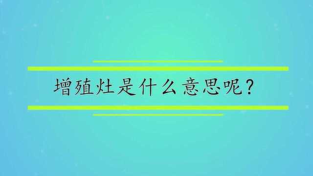 增殖灶是什么意思呢?