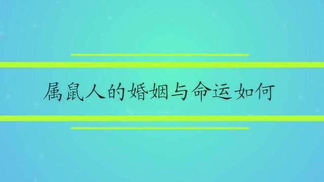 属鼠人的婚姻与命运如何