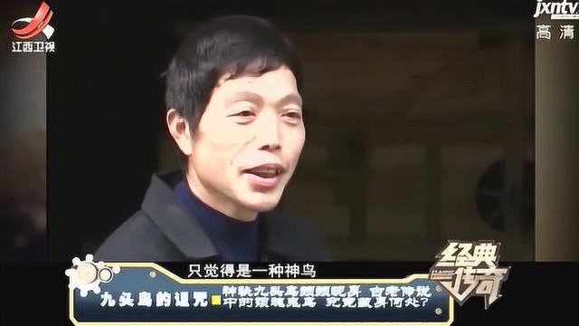 湖南索命怪鸟长着九个脑袋 叫声恐怖瘆人 怪鸟一叫村里就有人去世