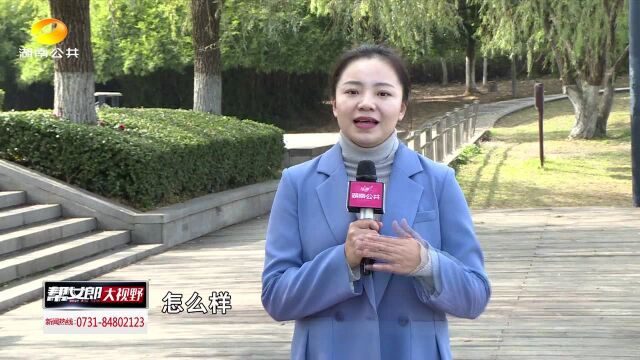 “携号转网”来了 帮女郎教您怎么办理