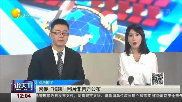 网传“梅姨”照片非官方公布