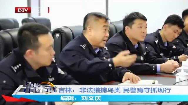 吉林:非法捕猎鸟类 民警蹲守抓现行