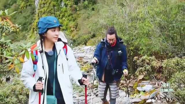 陈意涵和许富翔爬山唱《山丘》,感悟出这首歌的含义!