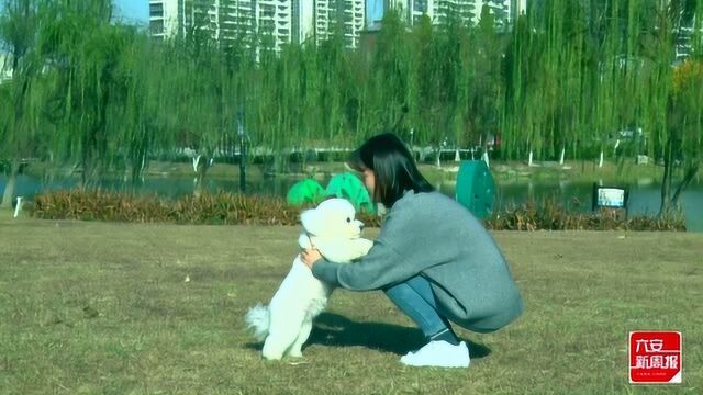 文明养犬 从我做起(最新水印版)