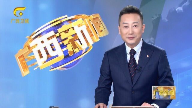 广西主题教育专项整治解民忧十件实事综述