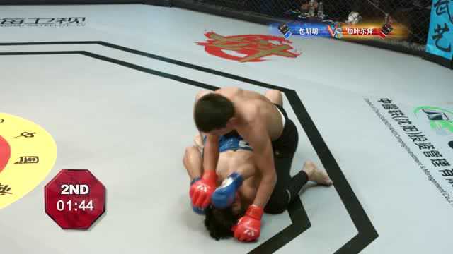 MMA:新疆小伙成功骑乘对手,疯狂砸拳宣告谁是王者!