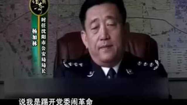 刘涌被抓住了,市长直接将矛头指向了杨加林