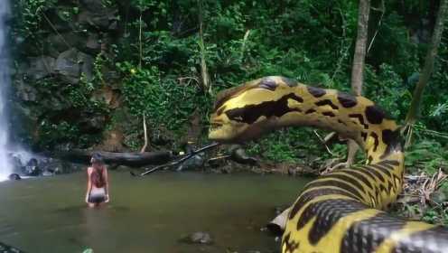 美女在河边洗澡，来了一条巨蟒一口吃掉了她，灾难电影《蛇鱼怪》