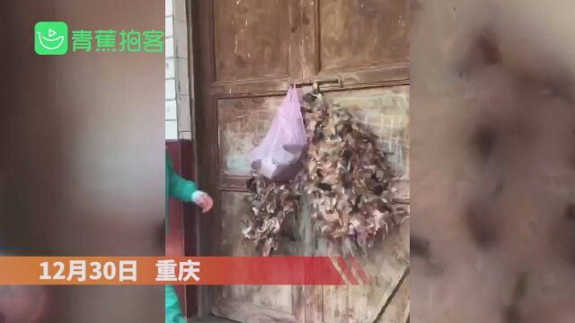 重庆女孩DIY塑料袋礼服走红 网友直呼:灵魂设计师