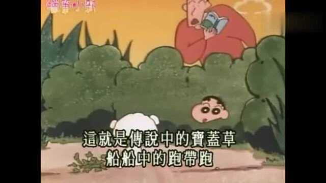 蜡笔小新:神犬小白无所不能,靠着照片就能帮找野菜!