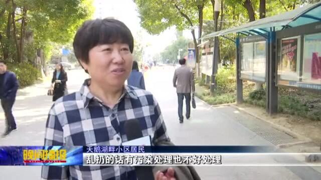 不分类将影响征信 《合肥市生活垃圾管理办法》今实施!