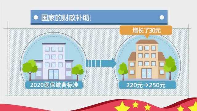 2020年农村医保怎么交?