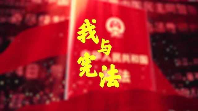 全国法治动漫作品宣传《我与宪法》