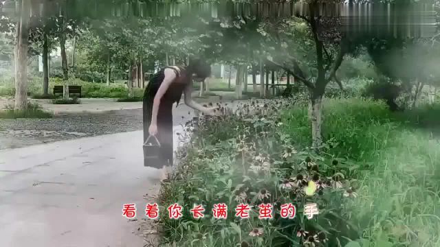 经典音乐,一首《老父亲》歌词朴素优美,用心在歌唱