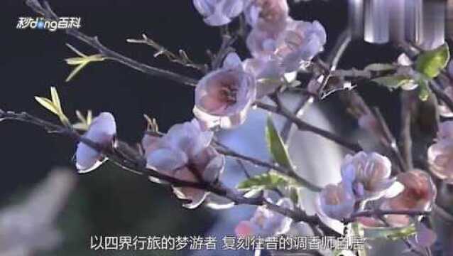 《霹雳布袋戏》奇梦人:来历神秘的奇异调香师