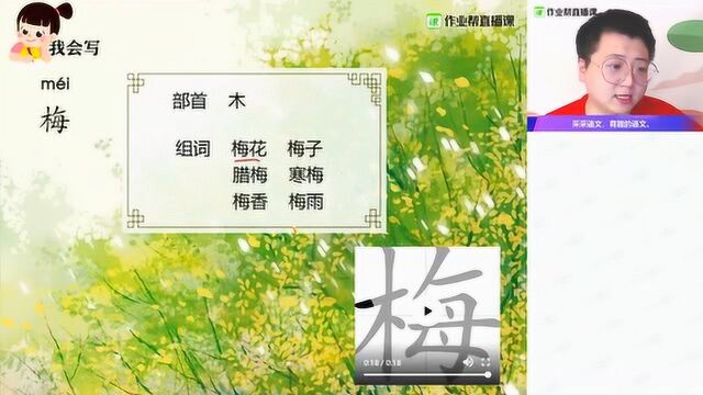 【语】古诗词赏析(三)小学三年级采桥