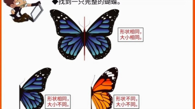 数学思维专题01丨0C01对称之美