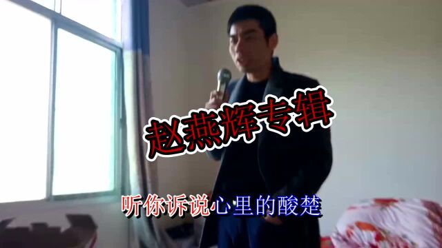 兰石村赵燕飞演唱会