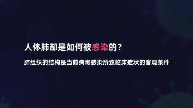 免疫系统在和病毒斗争的过程中都做了什么?