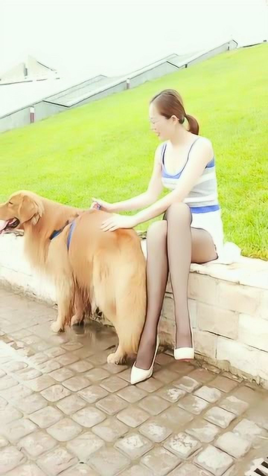 Thumbplayer Poster Plugin Image