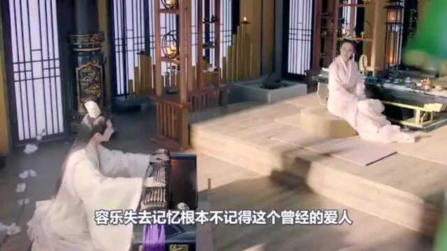 《白发王妃》容乐给无忧生下儿子,儿子名字竟然是纪念他,无忧崩