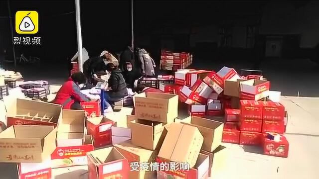 农村大哥大姐化身主播,网上兜售万荣苹果