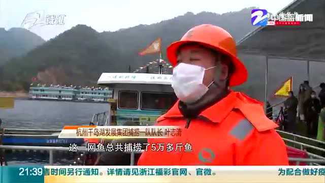 万鱼群舞!千岛湖“巨网捕鱼”新春第一网开捕 捕捞约5万斤鲜鱼