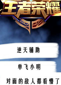 逆天辅助 单飞小明 对面的敌人都看懵了