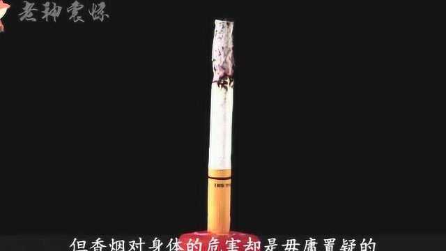 它们被称为香烟的“死对头”,吸烟人士可以多吃,对身体有好处