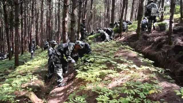 《林下中药材——三七生产技术规程》地方标准在云南出台